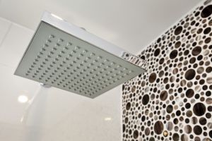 thirston int shower head sm.jpg